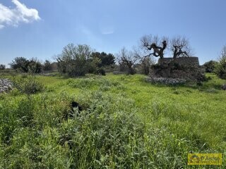 foto immobile  Nuova Villa con Piscina e Lamione a Torre Vado, nel Salento  n. 19