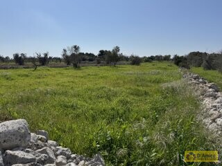 foto immobile  Nuova Villa con Piscina e Lamione a Torre Vado, nel Salento  n. 21