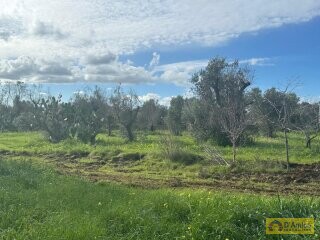 foto immobile Elegante Villa con Piscina di nuova costruzione a pochi minuti da Ostuni  n. 10