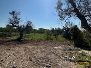 foto immobile Elegante Villa con Piscina di nuova costruzione a pochi minuti da Ostuni  n. 11
