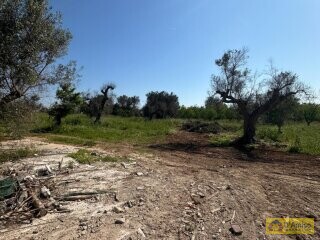 foto immobile Elegante Villa con Piscina di nuova costruzione a pochi minuti da Ostuni  n. 12