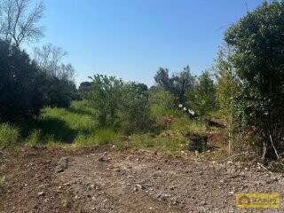 foto immobile Elegante Villa con Piscina di nuova costruzione a pochi minuti da Ostuni  n. 14