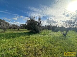 foto immobile Elegante Villa con Piscina di nuova costruzione a pochi minuti da Ostuni  n. 8