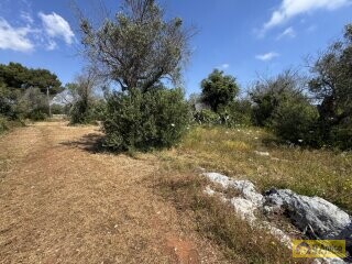 foto immobile Terreno con progetto per Villa a Volte Tipiche con Piscina, a 5 minuti dal mare n. 21