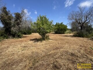 foto immobile Terreno con progetto per Villa a Volte Tipiche con Piscina, a 5 minuti dal mare n. 10