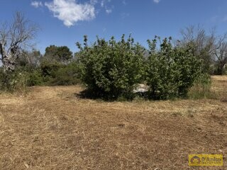 foto immobile Terreno con progetto per Villa a Volte Tipiche con Piscina, a 5 minuti dal mare n. 13