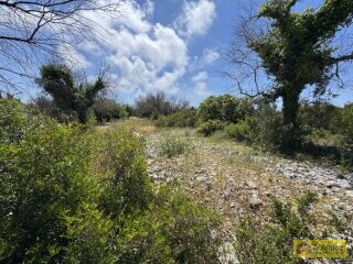 foto immobile Terreno con progetto per Villa a Volte Tipiche con Piscina, a 5 minuti dal mare n. 17