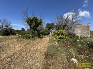 foto immobile Terreno con progetto per Villa a Volte Tipiche con Piscina, a 5 minuti dal mare n. 18