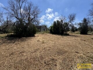 foto immobile Terreno con progetto per Villa a Volte Tipiche con Piscina, a 5 minuti dal mare n. 3