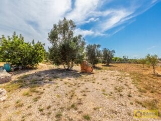 foto immobile Villa a Torre Vado a 900 mt dal mare con progetto Piscina  n. 22