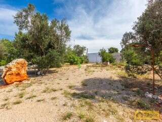 foto immobile Villa a Torre Vado a 900 mt dal mare con progetto Piscina  n. 21