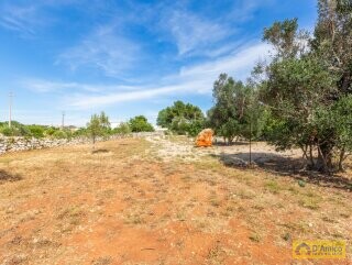 foto immobile Villa a Torre Vado a 900 mt dal mare con progetto Piscina  n. 18