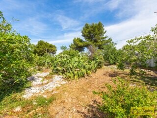 foto immobile Villa a Torre Vado a 900 mt dal mare con progetto Piscina  n. 17
