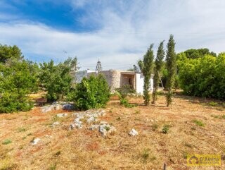 foto immobile Villa a Torre Vado a 900 mt dal mare con progetto Piscina n. 2