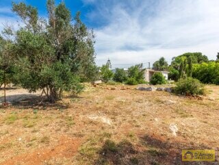 foto immobile Villa a Torre Vado a 900 mt dal mare con progetto Piscina n. 19