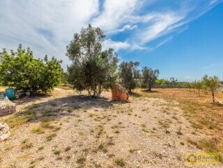 foto immobile Villa a Torre Vado a 900 mt dal mare con progetto Piscina n. 22