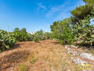 foto immobile Villa a Torre Vado a 900 mt dal mare con progetto Piscina n. 24