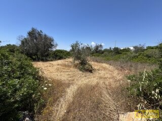 foto immobile Progetto per Nuova Villa con Piscina da realizzare a Santa Maria di Leuca, in Salento n. 12