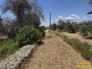 foto immobile Progetto per Nuova Villa con Piscina da realizzare a Santa Maria di Leuca, in Salento n. 19