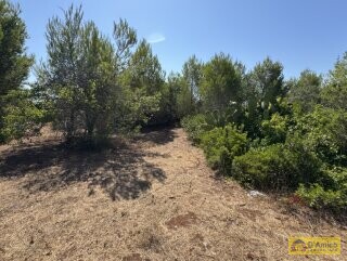 foto immobile Terreno con Progetto approvato per Villa e Piscina a Torre Vado n. 36