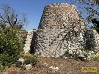 foto immobile Terreno con Progetto approvato per Villa e Piscina a Torre Vado n. 20