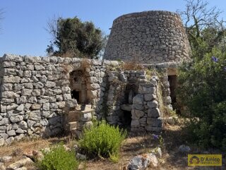 foto immobile Terreno con Progetto approvato per Villa e Piscina a Torre Vado n. 21