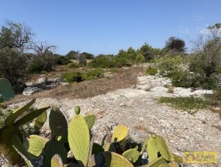 foto immobile Terreno edificabile per villa con piscina, più 2 pajare, a 2 km dal mare n. 8