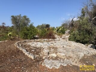 foto immobile Terreno edificabile per villa con piscina, più 2 pajare, a 2 km dal mare n. 10