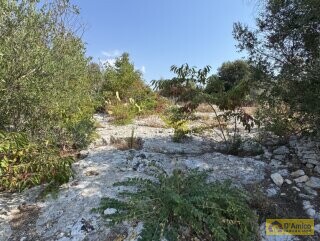 foto immobile Terreno edificabile per villa con piscina, più 2 pajare, a 2 km dal mare n. 12