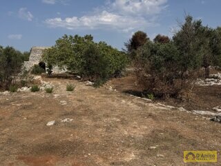 foto immobile Terreno edificabile per villa con piscina, più 2 pajare, a 2 km dal mare n. 13