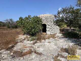 foto immobile Terreno edificabile per villa con piscina, più 2 pajare, a 2 km dal mare n. 4