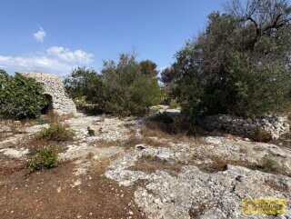 foto immobile Terreno edificabile per villa con piscina, più 2 pajare, a 2 km dal mare n. 5