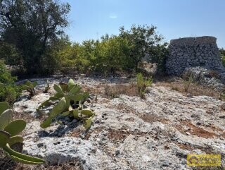 foto immobile Terreno edificabile per villa con piscina, più 2 pajare, a 2 km dal mare n. 6