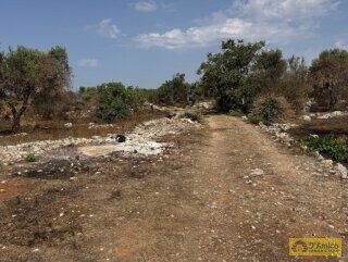foto immobile Terreno edificabile per villa con piscina, più 2 pajare, a 2 km dal mare n. 19