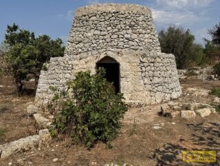 foto immobile Terreno edificabile per villa con piscina, più 2 pajare, a 2 km dal mare n. 5