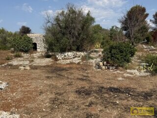 foto immobile Terreno edificabile per villa con piscina, più 2 pajare, a 2 km dal mare n. 6