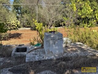 foto immobile Moderna Villa con piscina e Trullo a Carovigno n. 23